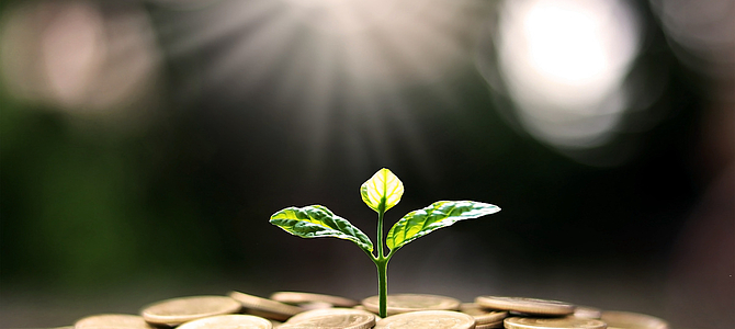 Nachhaltigkeit in Unternehmen fördern
