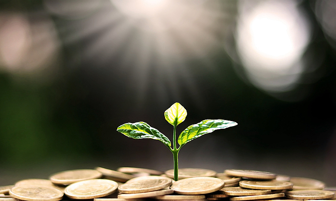 Corporate Social Responsibility