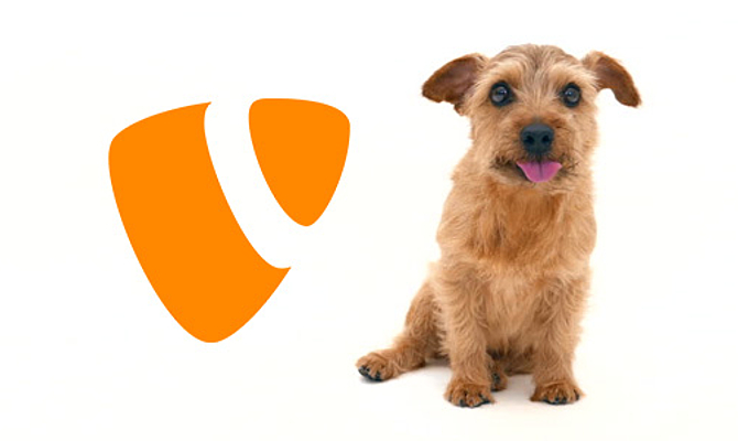 TYPO3 HowTo: Using a custom rte_ckeditor configuration in DCE