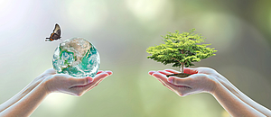 Ökologie-Dimension von CSR