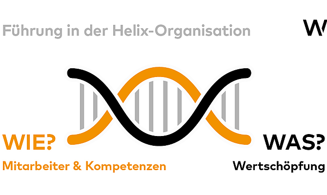 Helix Organisation 2.0