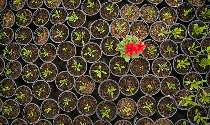 Die identitätsbasierte Markenführung als Instrument für eine starke Marke