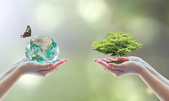 Die Ökologie-Dimension von CSR