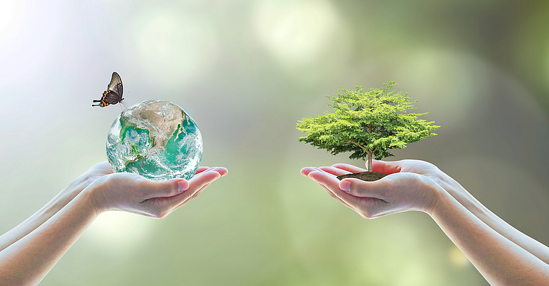 Ökologie-Dimension von CSR