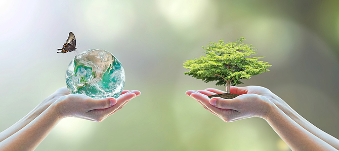 Ökologie-Dimension von CSR