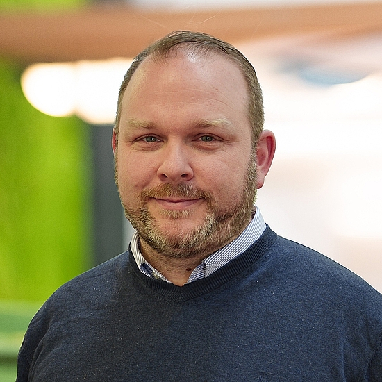 Consultant for Sales Strategy