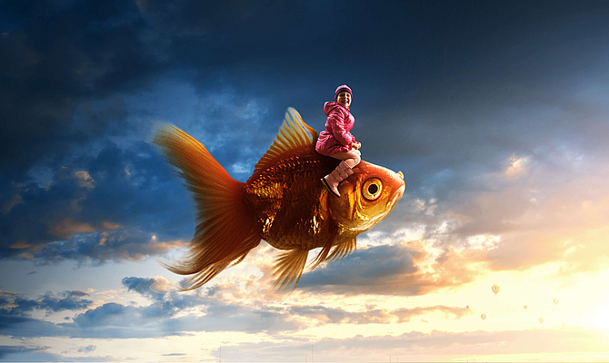 Die Kundenzufriedenheit effektiv steigern